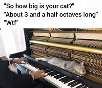 Image result for Good Luck with Piano Playing Meme