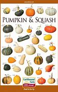 Image result for Squash Inteference Chart