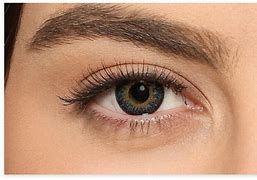 Image result for Colored Contact Lenses