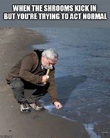 Image result for Act Normal Meme