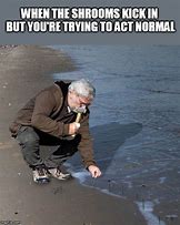 Image result for Just Act Normal Meme
