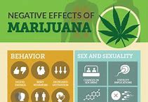Image result for Marijuana Disadvantages and Side Effects