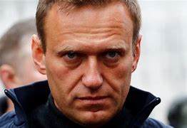 Image result for Navalny Rally