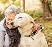 Image result for Best Companion Dogs for Seniors