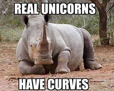 Image result for Wednesyda Meme Rhino