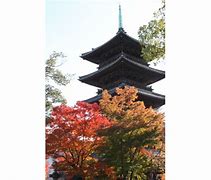 Image result for Nagoya Autumn