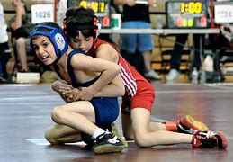 Image result for Wrestling Youth Fighting