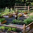 Image result for Vegetable Garden Layout Design