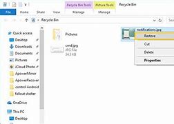 Image result for Deleted Files Recovery Recycle Bin Windows 1.0
