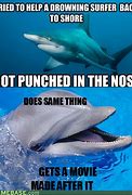 Image result for Sharks vs Dolphins Meme