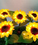 Image result for Sunflower Solar LED