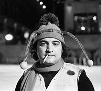 Image result for Belushi Bee