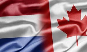 Image result for Netherlands X Canada