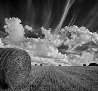 Image result for Black and White Gallery