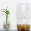 Image result for Indoor House Fly Trap