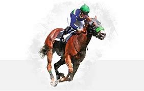 Image result for Horse Racing Films