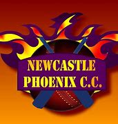 Image result for Cricket Decal Machine