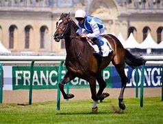 Image result for Jockey Riding Horse Trophy