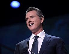 Image result for Gavin Newsom Canvas Painting