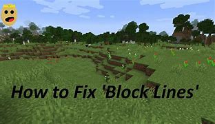 Image result for Minecraft Invisible Lines around Blocks