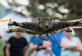 Image result for Drone Animal