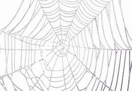 Image result for Spider Web Cracks Wallpaper