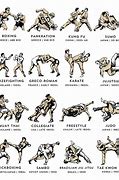 Image result for MMA All Moves