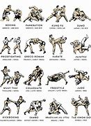 Image result for Forms of Karate Martial Arts