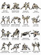 Image result for Best Form of Martial Arts