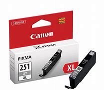 Image result for Canon Ink 251 Grey
