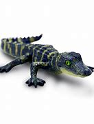 Image result for Alligator Baby Toy