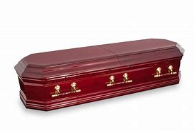 Image result for Coffin Front View