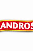 Image result for Andros Logo