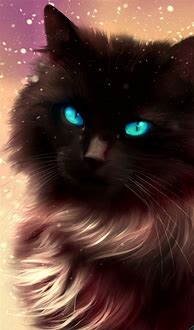 Image result for Galaxy Cat Backround