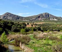 Image result for alcarace�p