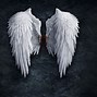 Image result for Angel Wings
