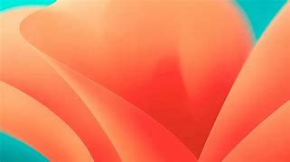 Image result for 1440P X 2560 Wallpaper Mac OS Venturea