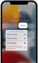 Image result for iPhone Message Notification