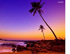 Image result for Caribbean Beach Sunset Desktop