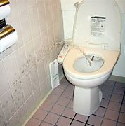 Image result for Japanese Floor Toilet
