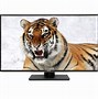 Image result for Asus 32 Inch Monitor