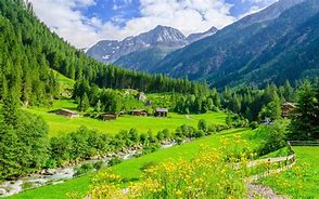 Image result for iPhone 13 Alpine Green Wallpaper