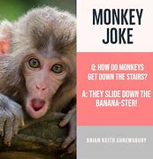 Image result for Funny but Clean Jokes