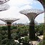 Image result for Dewlap Lizard Gardens by the Bay Singapore