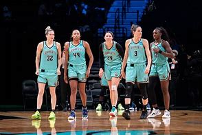 Image result for New York Liberty WNBA