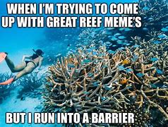 Image result for Systemic Barrier Animal Meme