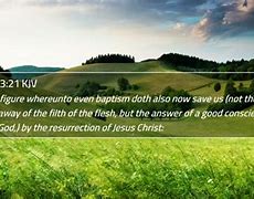 Image result for 1 Peter 3:21