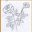 Image result for Two Roses Drawing