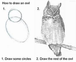 Image result for How to Draw an Owl Meme