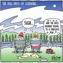 Image result for End of Summer Funny Cartoons